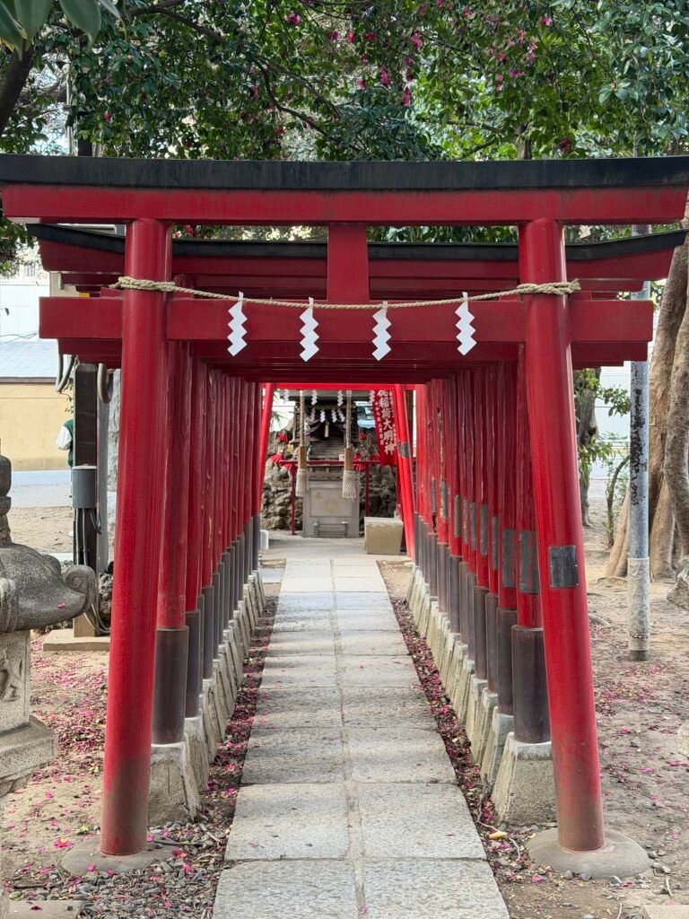 Red torii gates leading to a small shrine in Japan