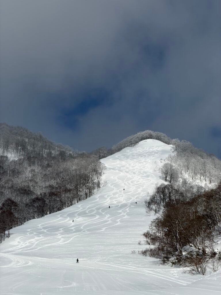 Snowy ski run winding through the trees in Hakuba