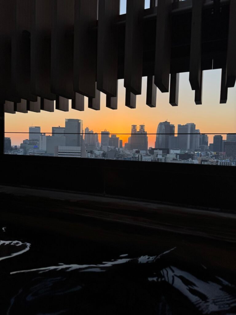 Tokyo skyline at sunset from the rooftop onsen at Onsen Ryokan Yuen Shinjuku