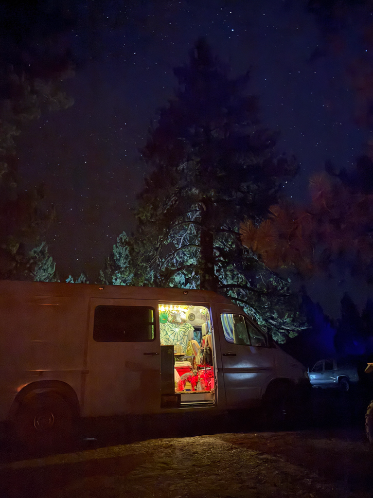 The van glowing at night under the pines